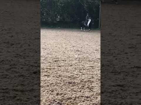 Costa Maureen Dwyer lesson 30.10.2019