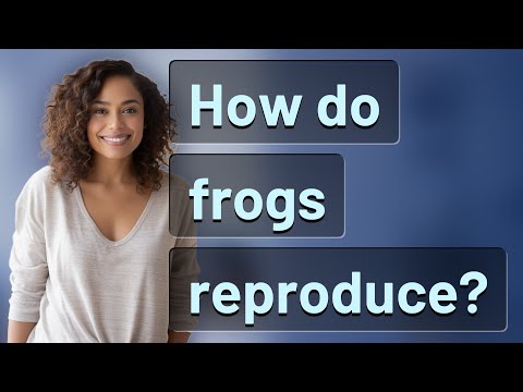 How do frogs reproduce?