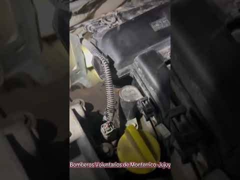 RESCATARON A UN GATITO ATRAPADO EN EL MOTOR DE UN AUTO EN MONTERRICO