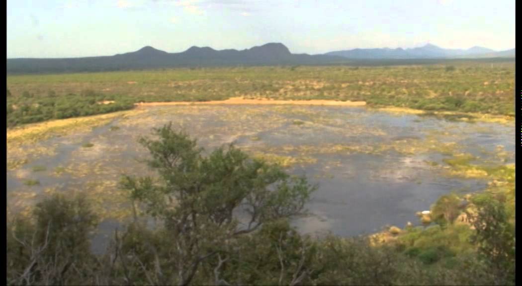 A Lorem ipsum dolor sit amet consectetur adipiscing elit metus at eleifend ultrices, mi augue pul...