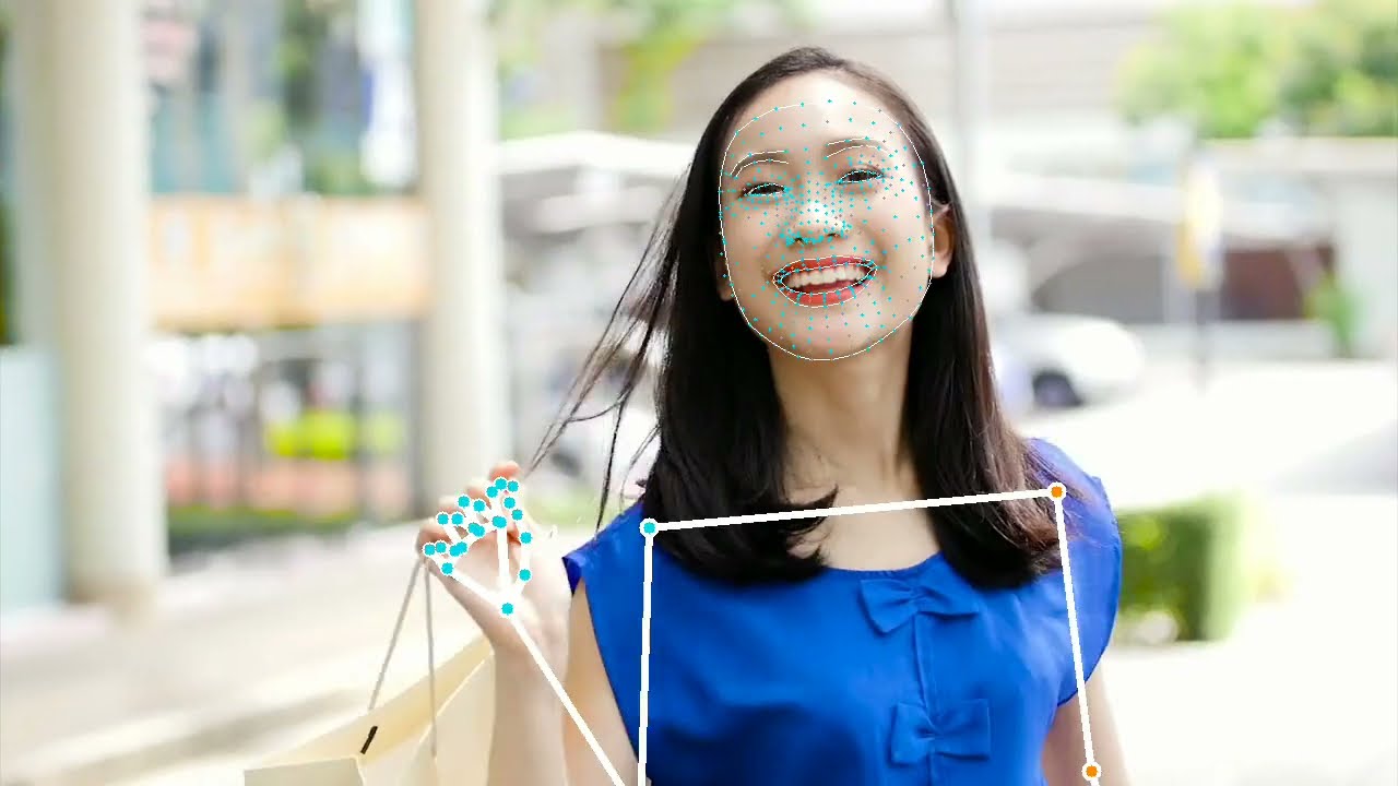 NVIDIA Jetson Nano Google MediaPipe v0.8.6 Holistic Sample NVIDIA Jetson Nano Google MediaPipe v0.8.6 Holistic Sample