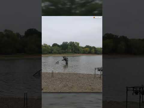 Frank Warwick guest session on the syndicate #carpfishing #carpangling #prologic