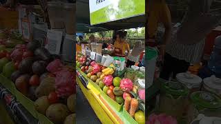 Download lagu ANEKA JUICE KHAS NTT #streetfood #fruitjuice #avocadojuice #jusbuah #alpukatmentega #bali mp3