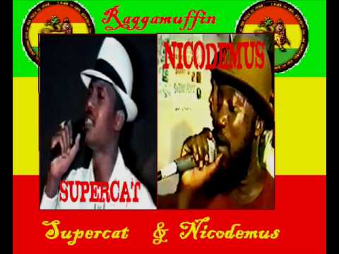 Nicodemus & Supercat - Prerogative!