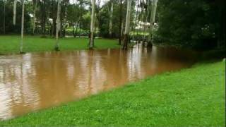 preview picture of video 'Bangalow Pool, January 2012 Flood'