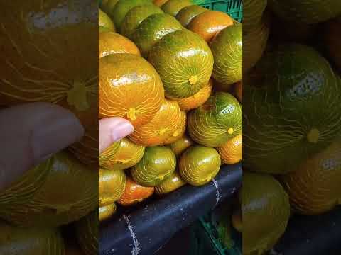 TANGERINA🍊 FEIRA LIVRE DA GRANJA PORTUGAL FORTALEZA CE.  06/03/26 feiralivre