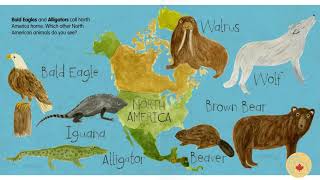 Video Story Book - Animals and Continents - English story about animals around the world