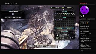 【モンスターハンターワールド アイスボーン】 初見 13
