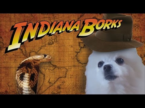 Indiana Borks