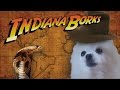 Indiana Bork