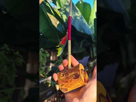 PROCURANDO UM Cachimbo sagrado? #shorts #xanupa