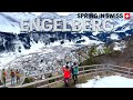 [4K]🇨🇭 Melting Snow Trails in Engelberg | Early Spring Family Hike in Engelberg Brunni Switzerland