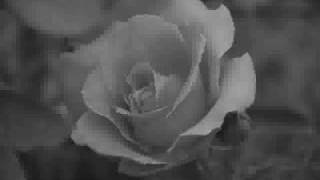 Gonna Sit Right Down and Write Myself a Letter