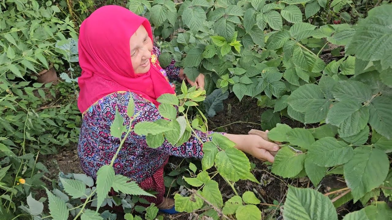 🌾 KÖYDE YAŞAM: ÖZEL KAPI MENTEŞESİ VE BAHÇE TEMİZLİĞİ! 🚗🌿