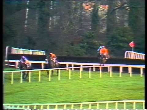 1991 Black & White Whisky Champion Chase