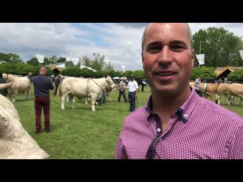 A bikák legszebbika(e)