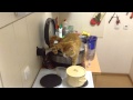 Беспредел котовский 