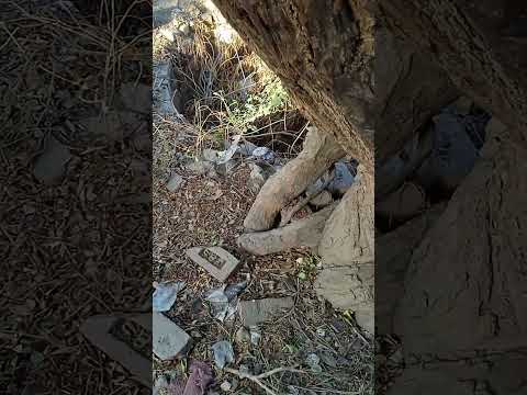 #ilovemydog ❤❤❤