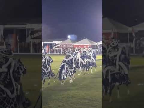 Despedida das cavalhadas de Jaraguá Goiás🐎Fim‼️ #cavalo #cavaleiros #animals #shorts #horse #viral