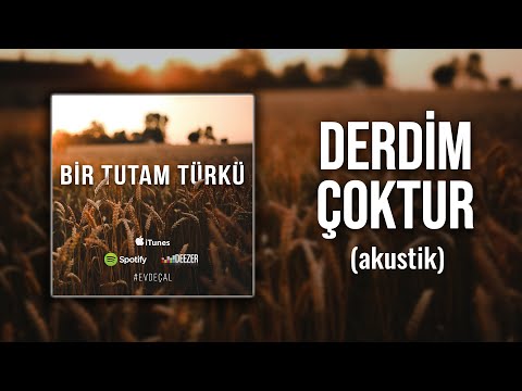 Ertuğrul Oytun - Derdim Çoktur Hangisine Yanayım (Akustik)