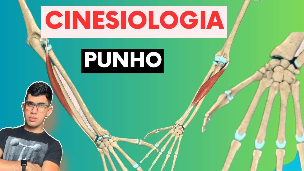 Cinesiologia do Punho : Ossos, articulações, ligamentos e músculos.
