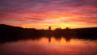 Oleander - Bruise (High Quality)