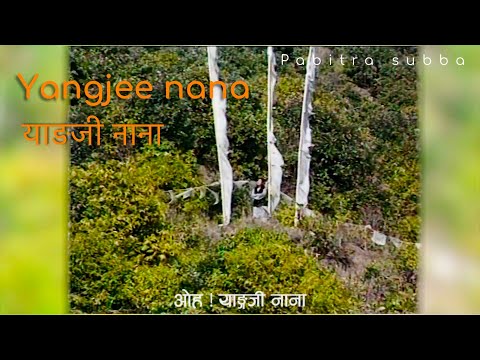 Yangi Nana ।याङ्जी नाना । Original Song By Pabitra Subba | Nepali Song