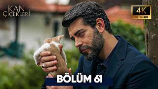 Kan Çiçekleri 61. Bölüm 4K Ultra HD