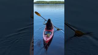 デカすぎ！爆乳ちゃん