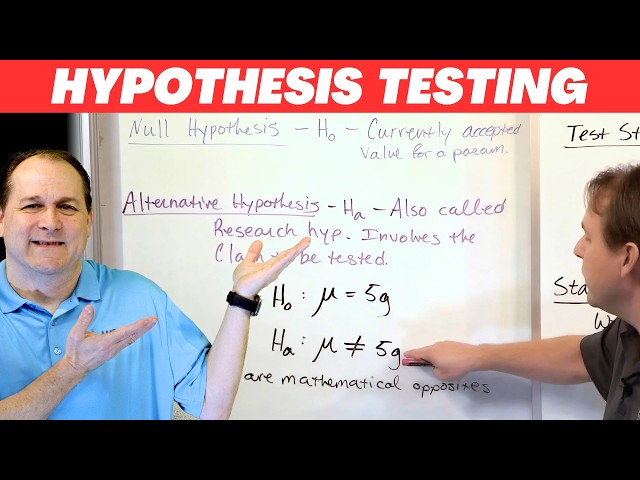 Understanding Hypothesis Testing in Statistics: A Comprehensive Guide ...