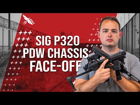 Strike Industries flip up sights