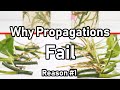 Why Your Propagation FAILS ( Reason #1 LIGHT )