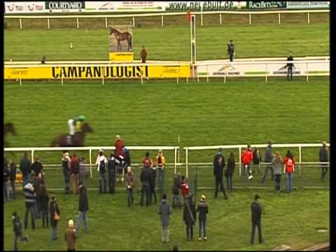 Hannover, Preis vom Gestüt Brümmerhof, 4.11.2012 - Sieger: Nordvulkan