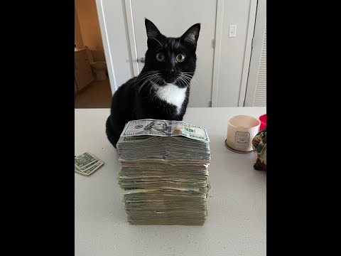 Babytron x StanWill x TrDee x Shittyboyz type beat -2023 (Prod.Mafioso Leo)