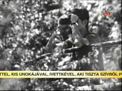 Amorf Ördögök: Nekem a Balaton a Riviéra