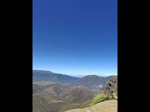 cóndor avistaje cachi. #cóndor #cachi #salta