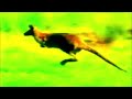 National Geographic Kids Dudley Moore Really Wild Animals Collection 1994 1995 VHS Trailer