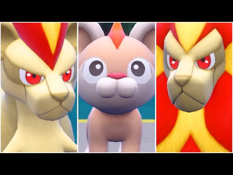 Click to play Video