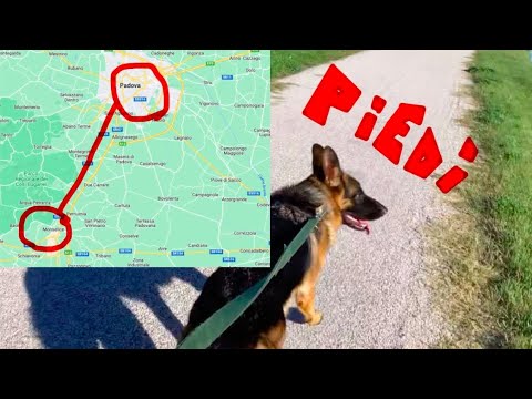 CAMMINO 26 km CON SIRIA (Monselice - Padova)