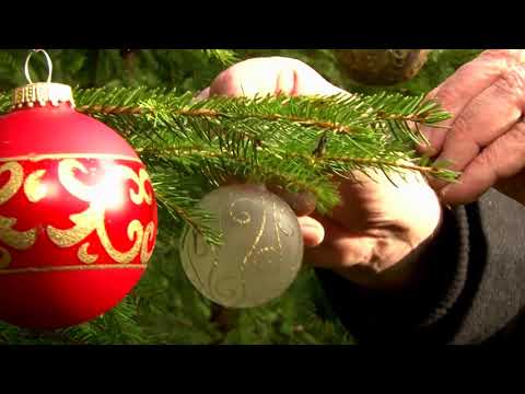 Weihnachtsvideo von Günther Lainer