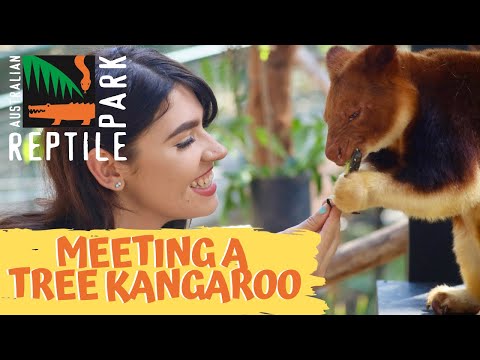 Australian Reptile Park
