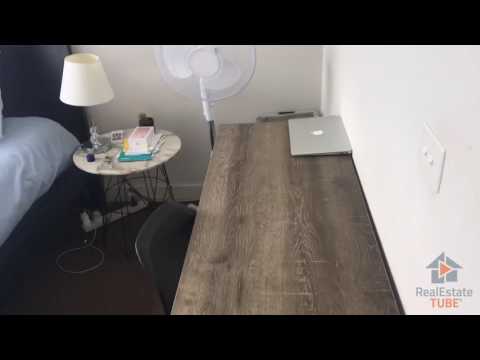 Looking for a great new housemate!