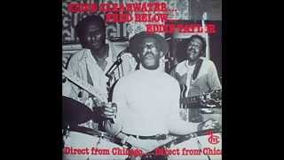 Eddy Clearwater, Lacy Gibson, Hayes Ware & Fred Below - Jackson Town Blues