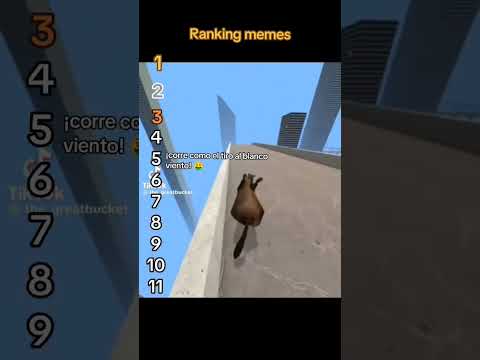 Ranking memes parte 7 (edición animales) #memes #risa #humor  #XD #animalsfunny