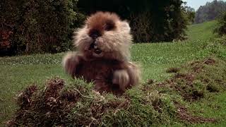 Caddyshack Opening Titles (4K Video) (Short Version)