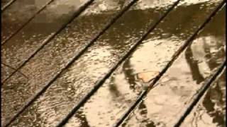 Kenny Wayne Shepherd - Everytime It Rains