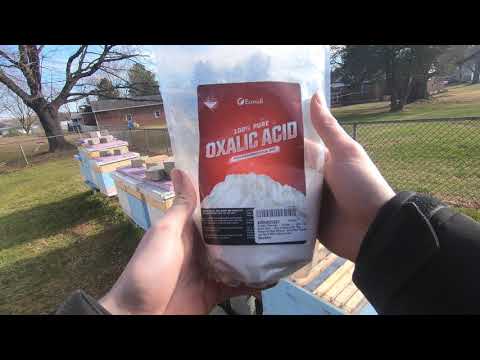 How to use an Oxalic Acid Vaporizer for your honey bees.