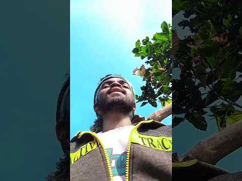 maa tar alti bele ..... 💞💞//#viral #song #blog