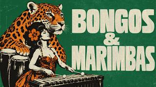 ＢＯＮＧＯＳ ＆ ＭＡＲＩＭＢＡＳ Vol. 3 ✦ Vintage Lounge & Psychedelic Rhythms | Cocktail Notes