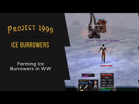 Everquest P99 - Druid: Farming Ice Burrowers in Western Wastes!